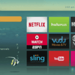Roku subscription premium own store networks launch its