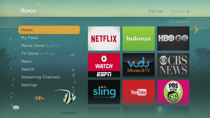 Roku subscription premium own store networks launch its