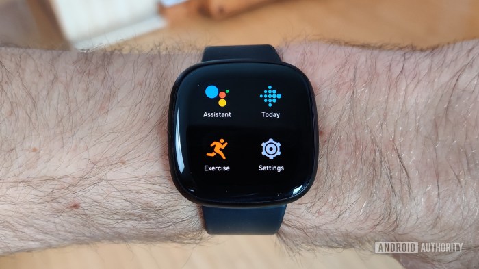 Fitbit versa 3 vs fitbit versa