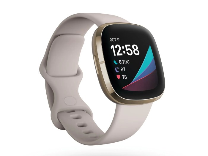 Fitbit versa 3 deal 50 discount