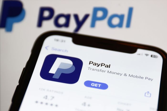 Alex Chriss Takes Helm: PayPal’s New CEO | Economist Global Paypal new ceo alex chriss crypto pyusd