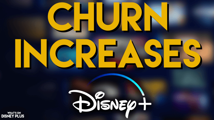 Disney plus hulu price increase ad supported tier