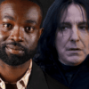 Harry potter hbo max series spin off prequel ideas