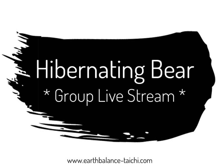 Polar bear livestream facebook