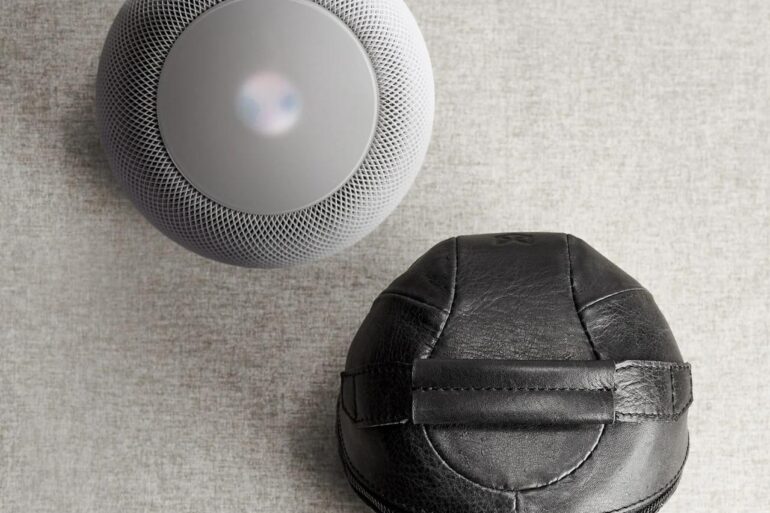 Homepod case leather travel price