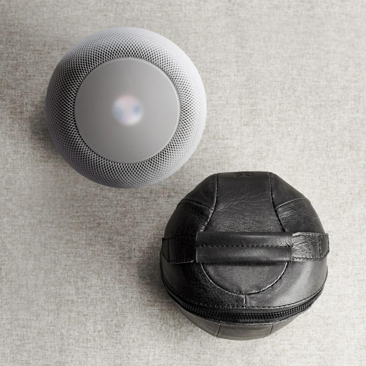 Homepod case leather travel price