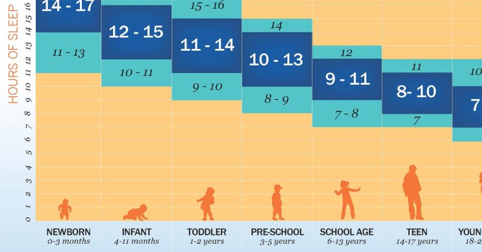 Alternative sleep cycles how to survive on three hours of sleep each night