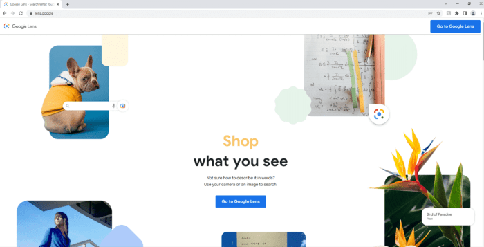 Google lens and circle to search are getting an about this image feature