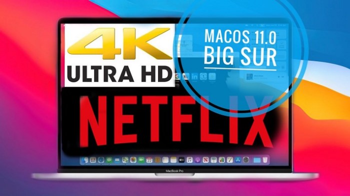 Apple mac netflix 4k hdr macos big sur dolby vision safari