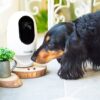Pawbo fitness tracker munch treat dispenser release