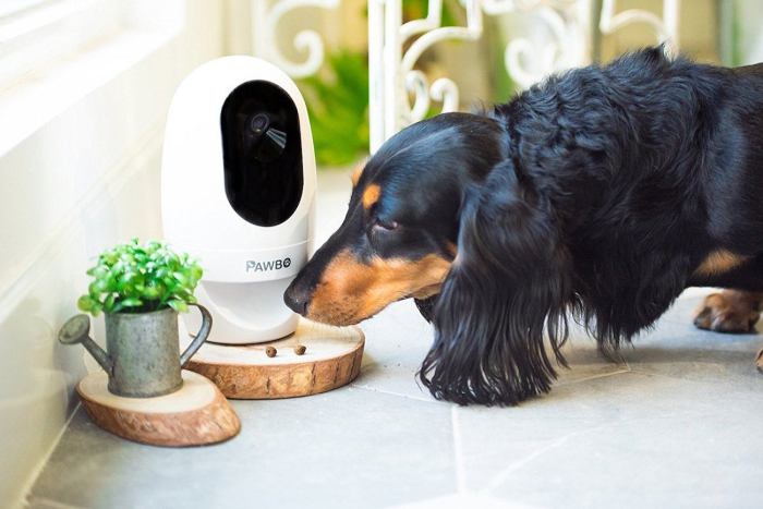 Pawbo fitness tracker munch treat dispenser release