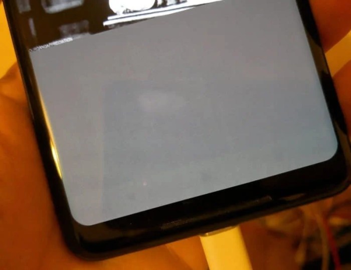 Google is Investigating Instances of Pixel 2 XL Screen Burn-In - TechPP Google pixel 2 xl screen burn in color concerns software updates