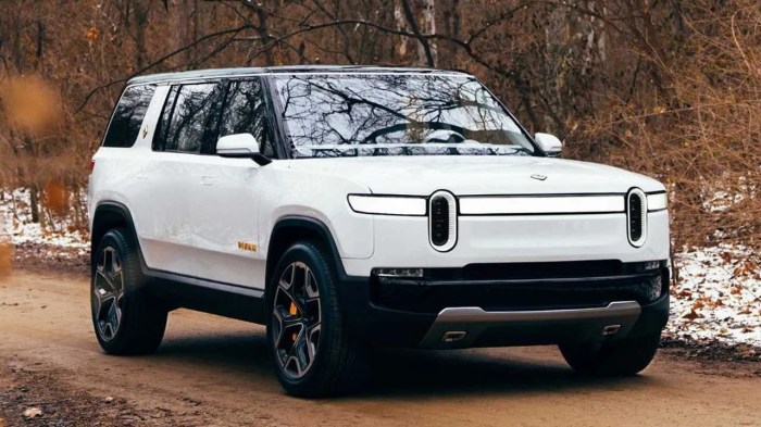 Rivian ipo electric truckmaker