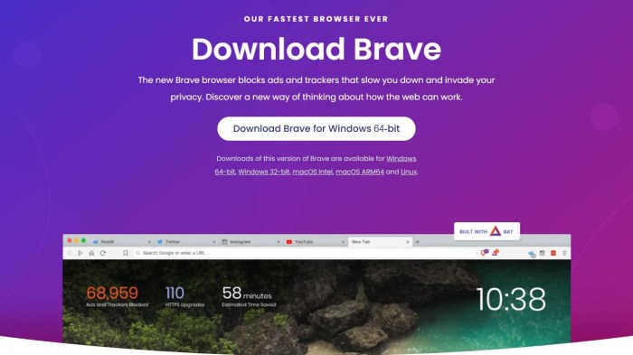 Brave de amp google browser