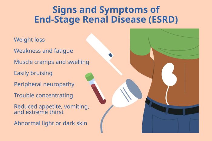 Have kidney disease try these 5 tips to follow the renal diet