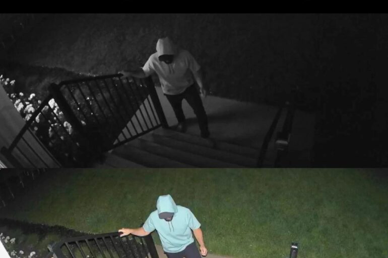 Wyze cam ai person detection free pay what you want model experiment