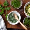 How to store and preserve fresh herbs