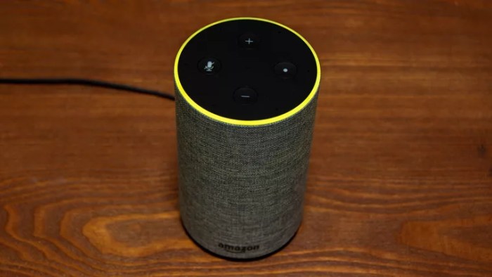 Amazon echo yellow color voice text message