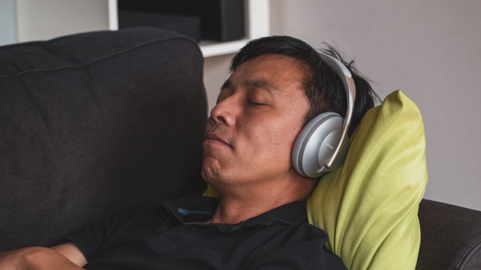 Are bose noise canceling headphones 700 earpads replaceable