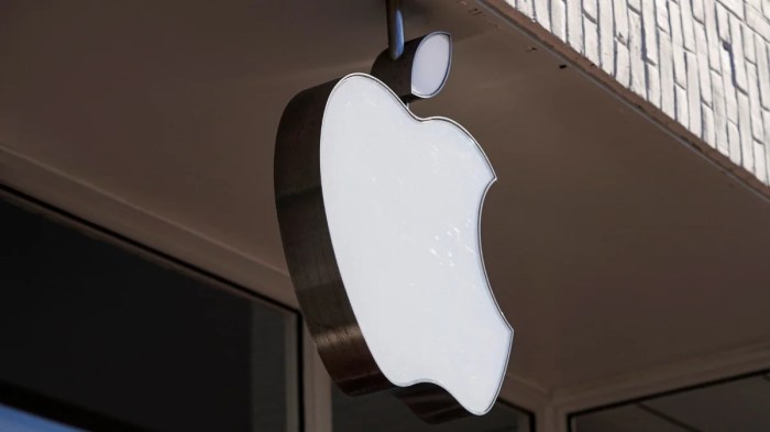 The iphone 16 series has me convinced apple needs a foldable