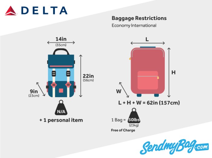 Smart luggage regulations american airlines delta