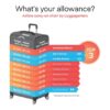 Smart luggage regulations american airlines delta