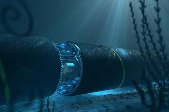 Baltic Cable Damage by Chinese Ship 'Extremely Unlikely' to be ... Chinese ship undersea cables severed russia baltic seabed