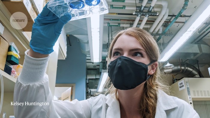 Covid 19 information anchoring bias scientific method