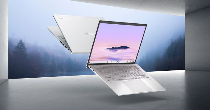 Asus expertbook cx54 chromebook plus first look