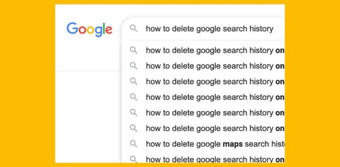 Google activity history search view go delete how see section link blue click scroll under down some review Google activity history search view go delete how see section link blue click scroll under down some review