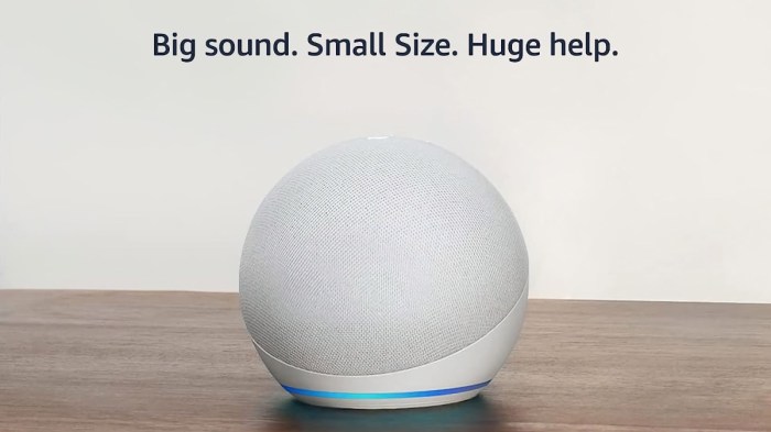 Does new echo dot have audio out speakers