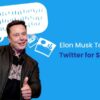 Elon musk takes over twitter fires executives