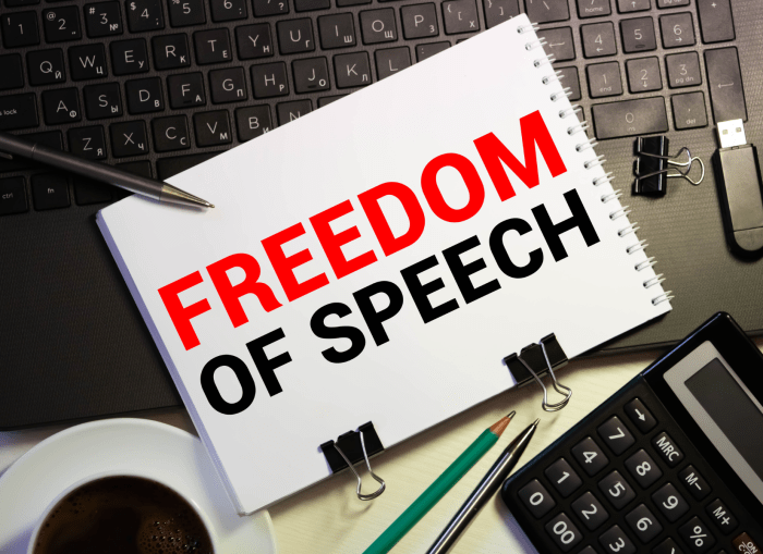Responsibilities advocacy protest freedom