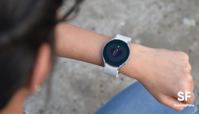 Galaxy watch 4 plugin update issue