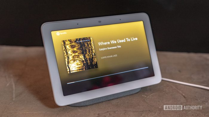 Google nest hub vs amazon echo show