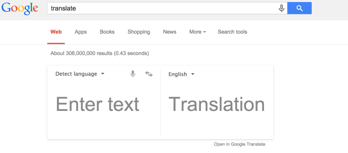 Google translate gender specific translations languages