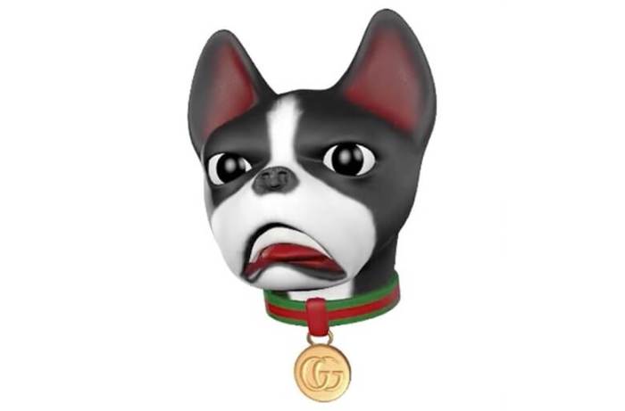 Gucci chien cane celebra cinese petra courtesy