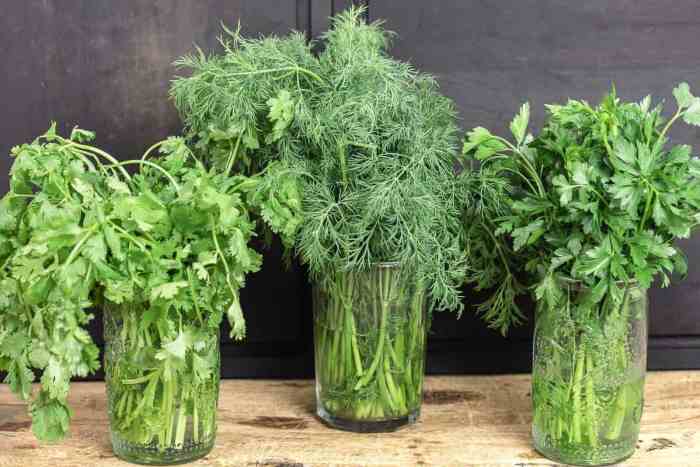 Paste herb herbs fresh herbal preserve 2015 how preserving easy an making mar theherbalacademy How to store and preserve fresh herbs
