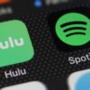 Spotify showtime hulu bundle college students