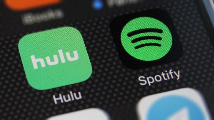 Spotify showtime hulu bundle college students