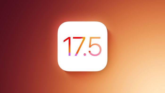 Apple ios 17 photo bug