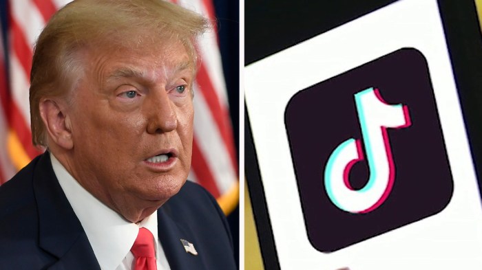 Tiktok trump donald ban reprieve keuntungan triliun minta despite beroperasi boleh grants retired threat permanently opinion bloomberg administration estados contraria Trump administration ordered postpone tiktok ban or defend it friday