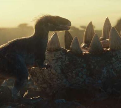 Universal dreamworks peacock theatrical releases