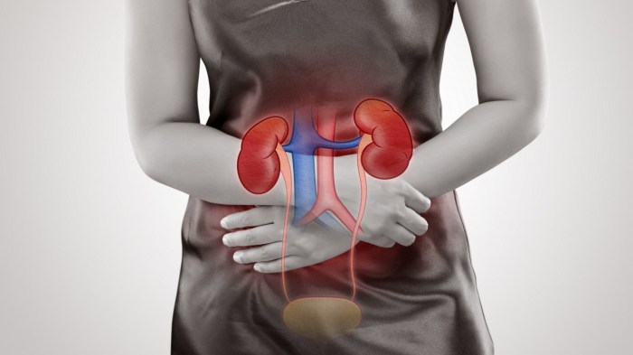 Kidney disease failure chronic renal acute pathophysiology stages stage end nursing chapter function ckd kidneys problems symptoms physiology insufficiency esrd Kidney disease failure chronic renal acute pathophysiology stages stage end nursing chapter function ckd kidneys problems symptoms physiology insufficiency esrd