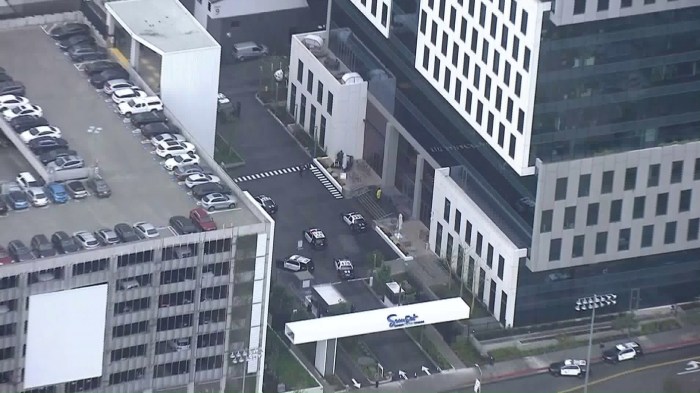 Netflix went on lockdown in los angeles after a gunman reportedly appeared