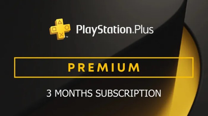 Plus playstation ps4 require online sony studios psn ps de play game games yoshida shuhei worldwide president said may Playstation plus premium will require developers to create 2 hour game trials
