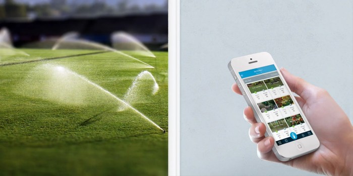 Keep your lawn looking its best with a refurb rachio 3 smart sprinkler controller