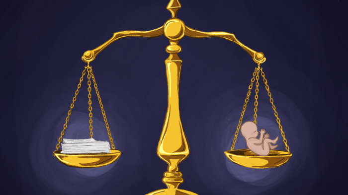 Online abortion information ban roe wade section 230 first amendment