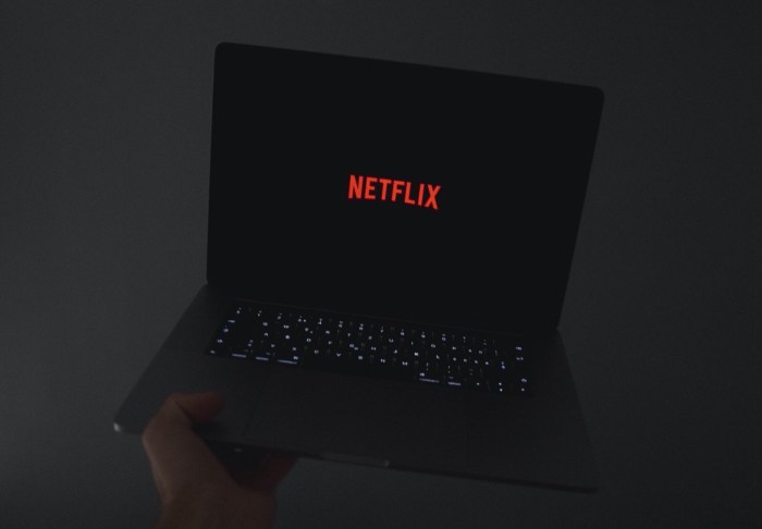 Apple mac netflix 4k hdr macos big sur dolby vision safari