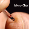 Three sqaure market implant office keycard biohacking wisconsin